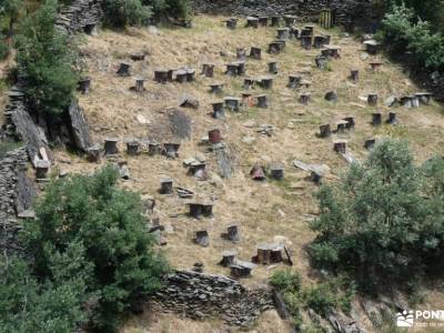 ierra del Rincón_Río Jarama; hoces de riaza rutas senderismo sanabria monasterio de bonaval cuelgamu